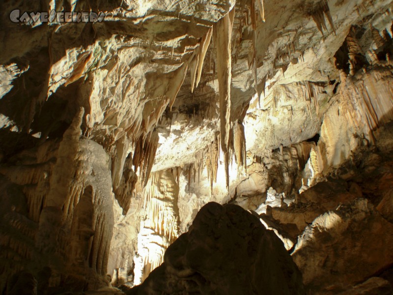 Adelsberger Grotte: Herr Wipplinger zunehmend frustriert