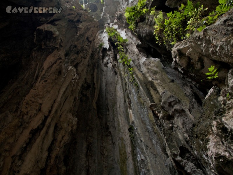 Batu Caves: Ein wenig Silberloch-Schacht-Feeling. Nur höher - und im Tageslichtbereich im 