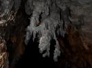 Batu Caves - An der Decke im 