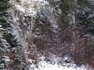 Stollensuchbild