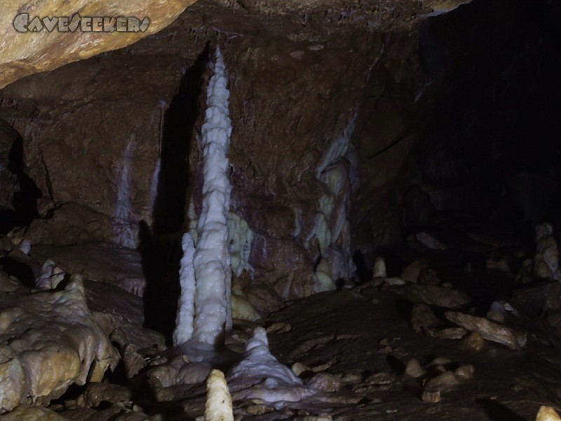 CWB-Höhle: Der schönste Tropfstein in Bayern