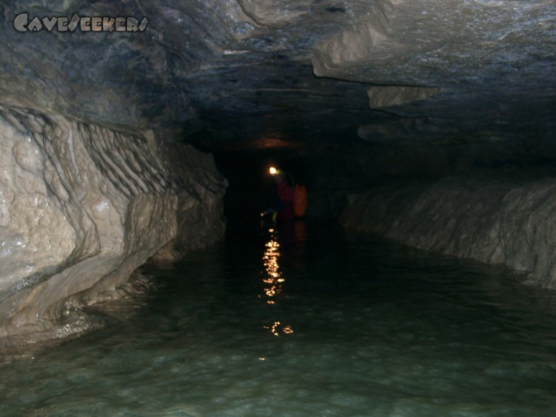 Falkensteiner Höhle: Direkt hinter dem Eingang steht einem das Wasser bereits bis an die Knie.