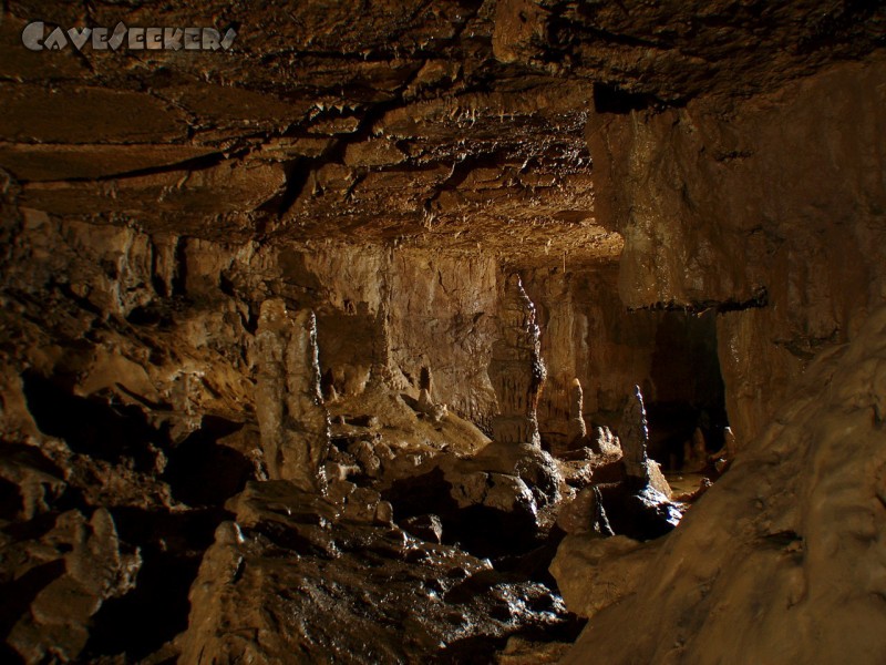 Falkensteiner Höhle: Und tatsächlich - man kann die Tropfsteine in der Falki tatsächlich auch anständig fotografieren.
