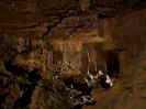 Falkensteiner Höhle - Und tatsächlich - man kann die Tropfsteine in der Falki tatsächlich auch anständig fotografieren.