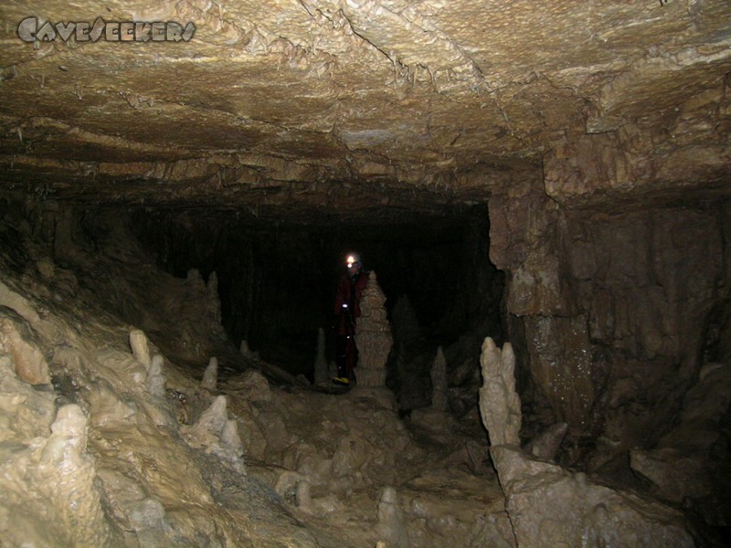 Falkensteiner Höhle: Königshalle - kann nicht oft genug Fotografiert werden.
