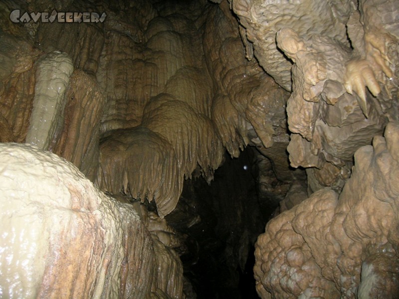 Falkensteiner Höhle: Sinterfahnen auf ungenahntem Niveau.