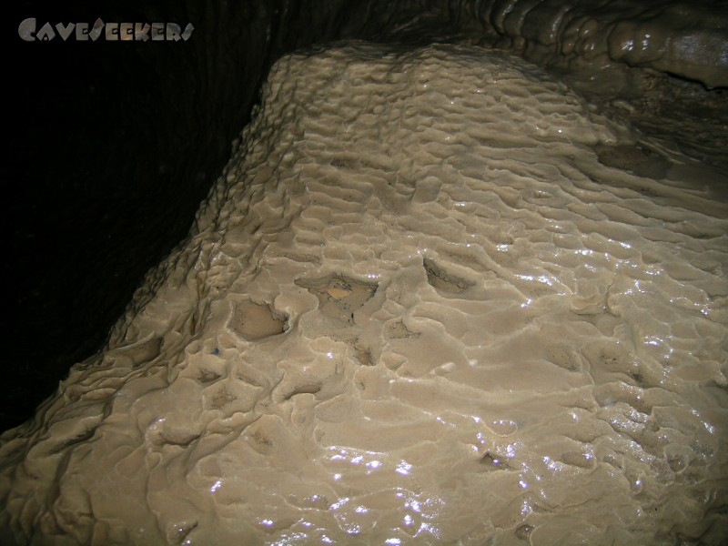 Falkensteiner Höhle: Sinterbeckchen extrem.