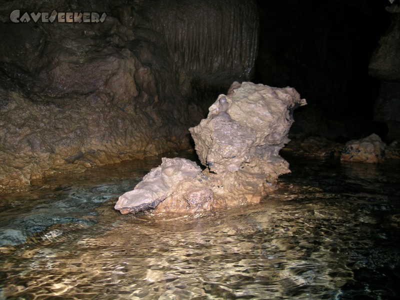 Falkensteiner Höhle: Seepferdchen?
