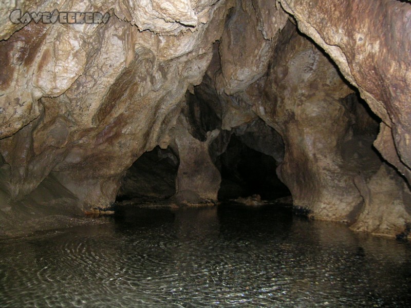 Falkensteiner Höhle: Im Rachenraum.