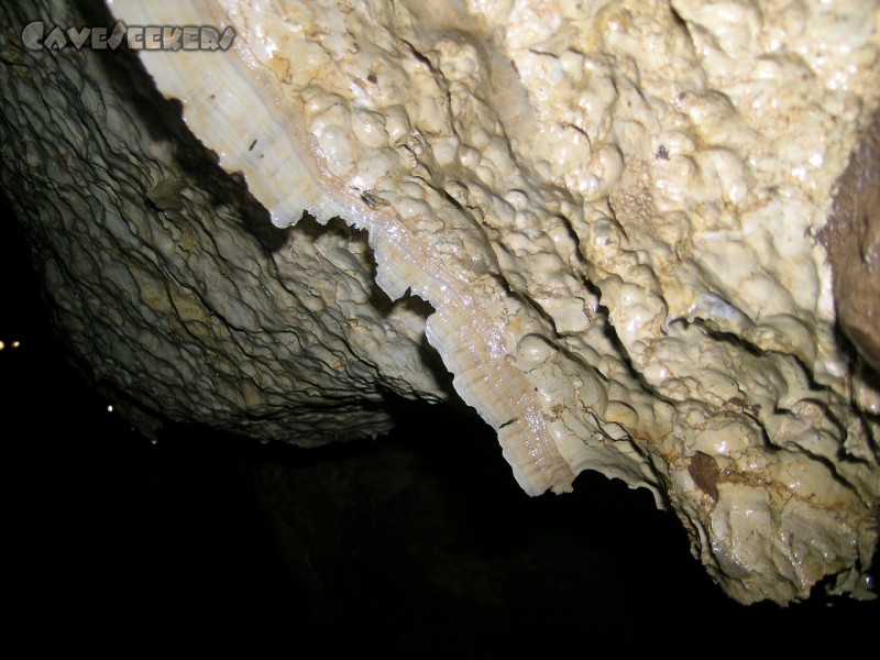 Falkensteiner Höhle: Sinteriro