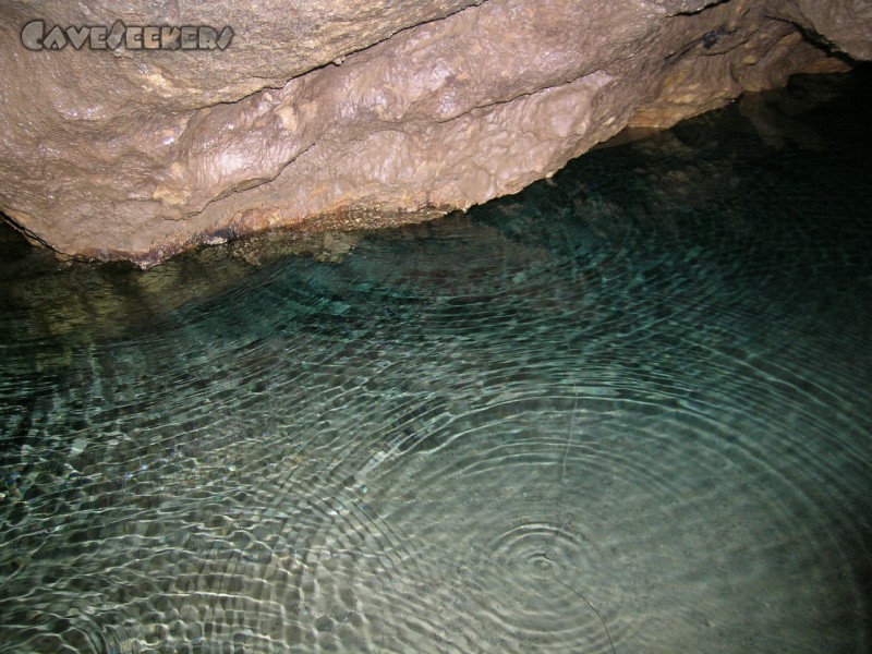 Falkensteiner Höhle: Vierter Siphon.