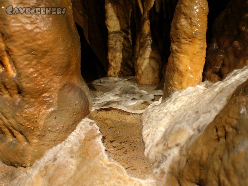 Grotte de la Malatiere: Ein wenig Sinterbecken.