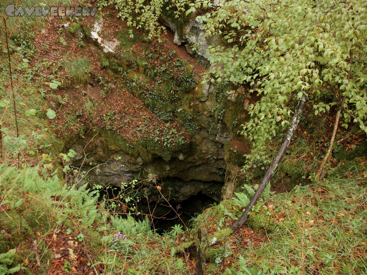 Jama pod Gavgami: Idyllisch: Höhleneingang.