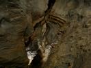 Obstanser Eishöhle - Schönes Profil. An der Decke verstecken sich die Excentrics-Nester.
