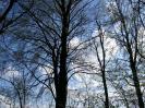 Randdesacker Erdfall - Unglaublich: Hinter dem mit Baum erkennt das geschulte Auge blauen Himmel. Franken ist schön.