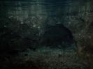 Seeweiherquellgrotte - Am Ende des Tageslichtbereichs. Unter Wasser. Da muss er durch.