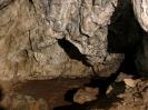 Tischnerberghöhle