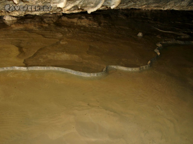 Todsburger Höhle: Warum auch dieses Sinterbecken nicht mehr dicht hält, ist auf dem übernächsten Bild zu erkennen.