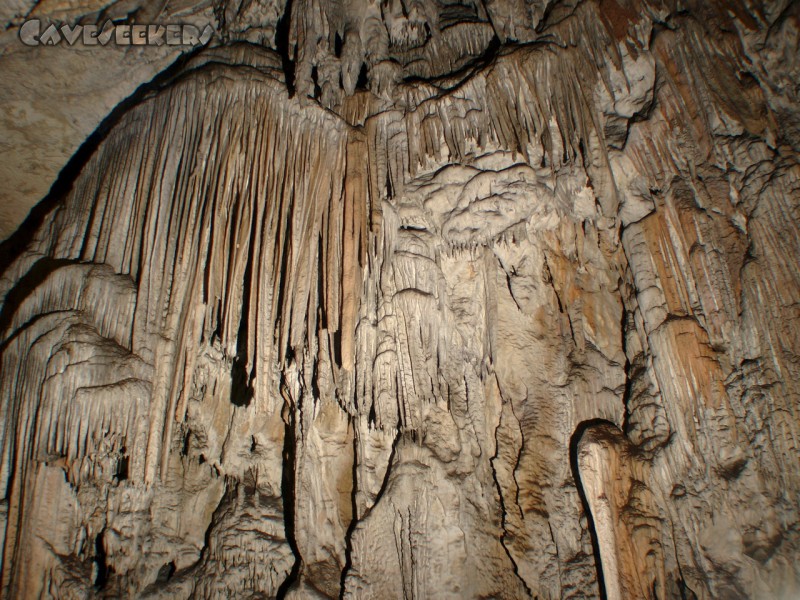 Adelsberger Grotte: Herr Wipplinger konnte im Zug sitzen - gut!