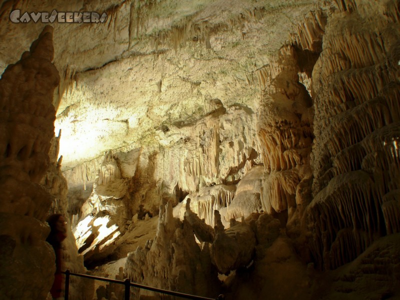 Adelsberger Grotte: Orakel 2