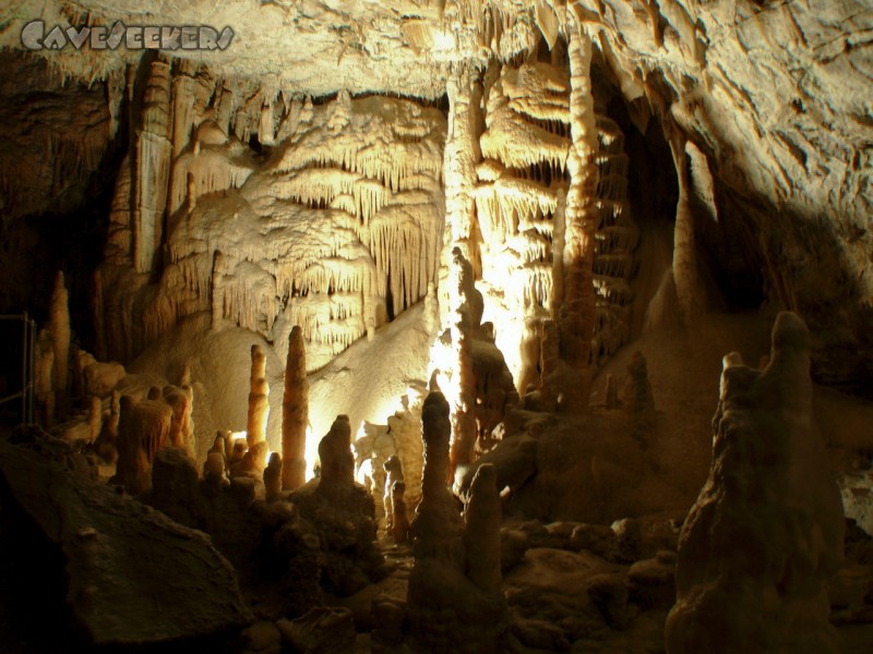 Adelsberger Grotte: Besser als Franken 3