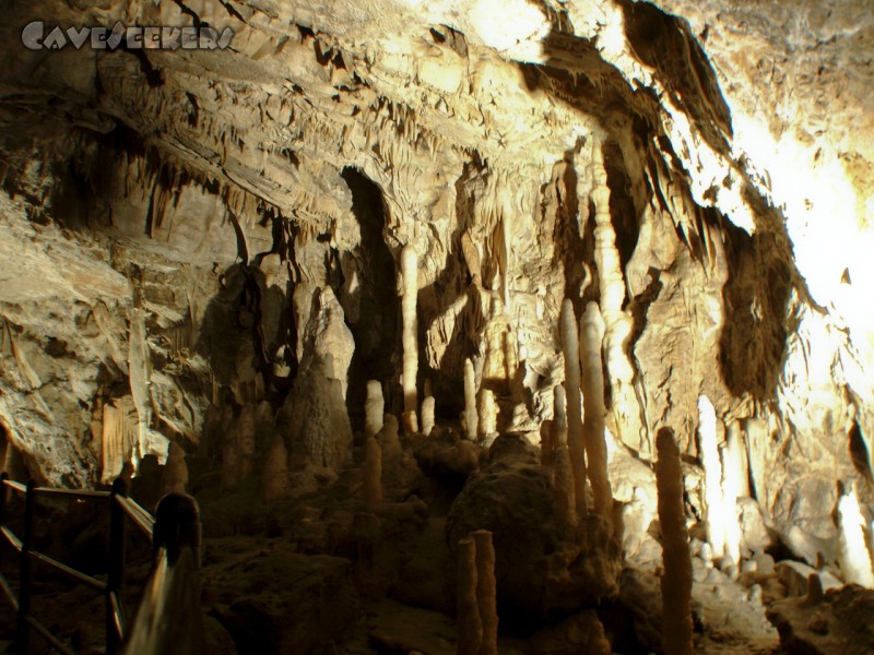Adelsberger Grotte: Besser als Franken 4