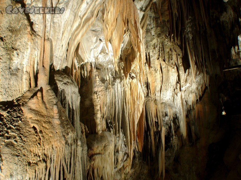 Adelsberger Grotte: Unglaubliche Eindrücke 1