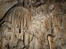 Adelsberger Grotte - Herr Wipplinger konnte im Zug sitzen - gut!