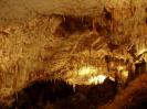 Adelsberger Grotte