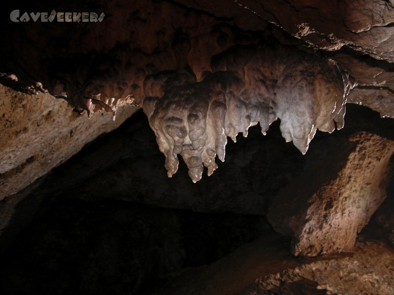 Anton-Völkel-Grotte: Deckenbart.