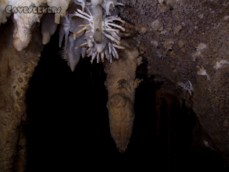 Aragonithöhle: Aragonit