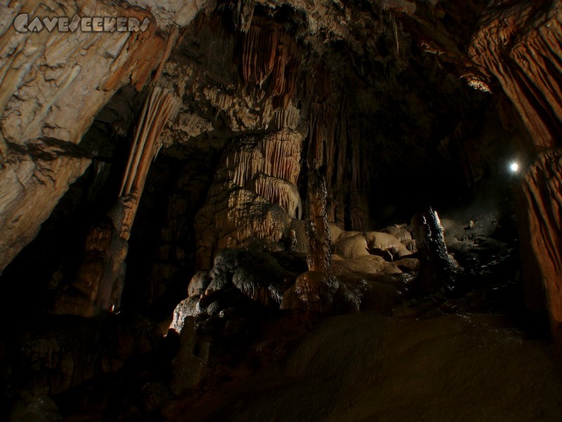 Aven Grotte Nouvelle: Halle.