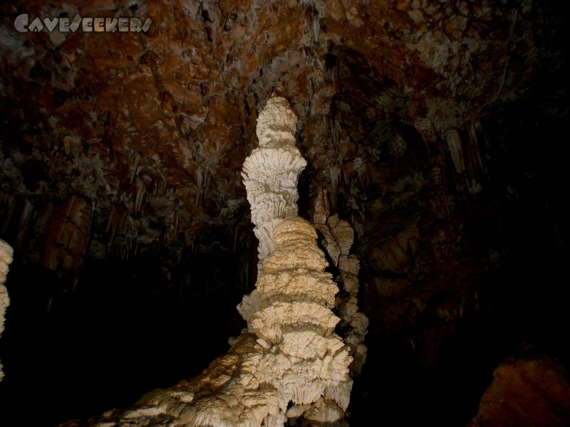 Aven de la Salamandre: Das erste Bild bereits ein Volltreffer. An der Form des Tropfsteins erkennt der CaveSeeker sofort, dass das herabtropfende Wasser seinerzeit einen langen Weg im frien Fall zu überwinden hatte, bevor es am Tropfstein aufschlug.