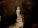 Aven de la Salamandre - Das erste Bild bereits ein Volltreffer. An der Form des Tropfsteins erkennt der CaveSeeker sofort, dass das herabtropfende Wasser seinerzeit einen langen Weg im frien Fall zu überwinden hatte, bevor es am Tropfstein aufschlug.