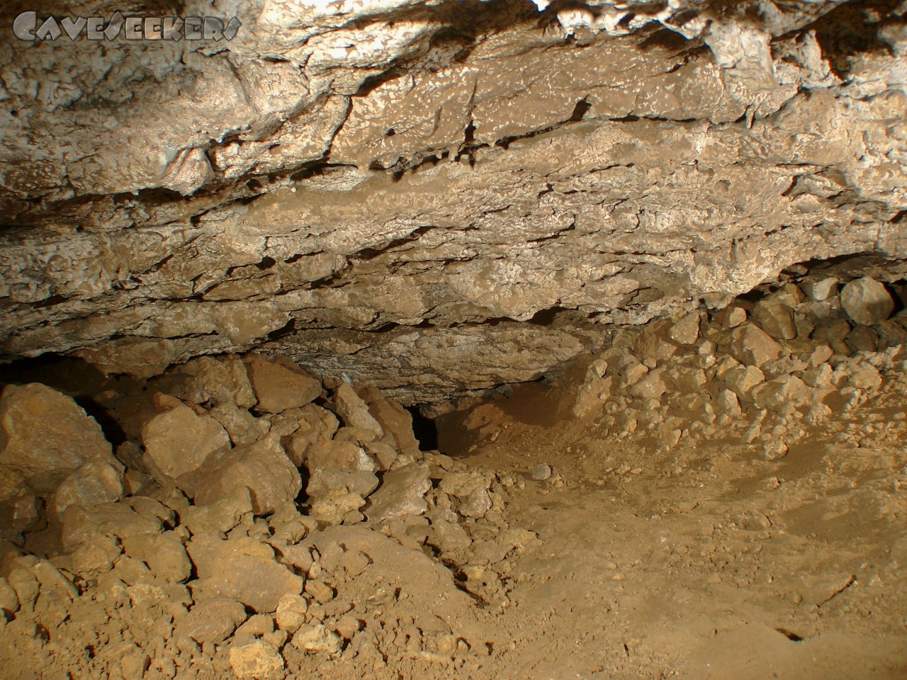 Bärenhöhle: 