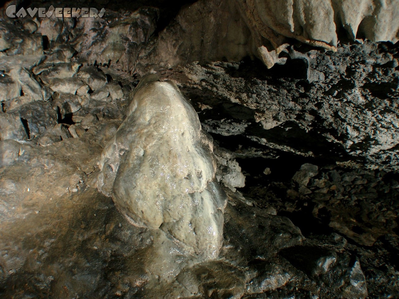 Bärenhöhle: In der grossen Halle.