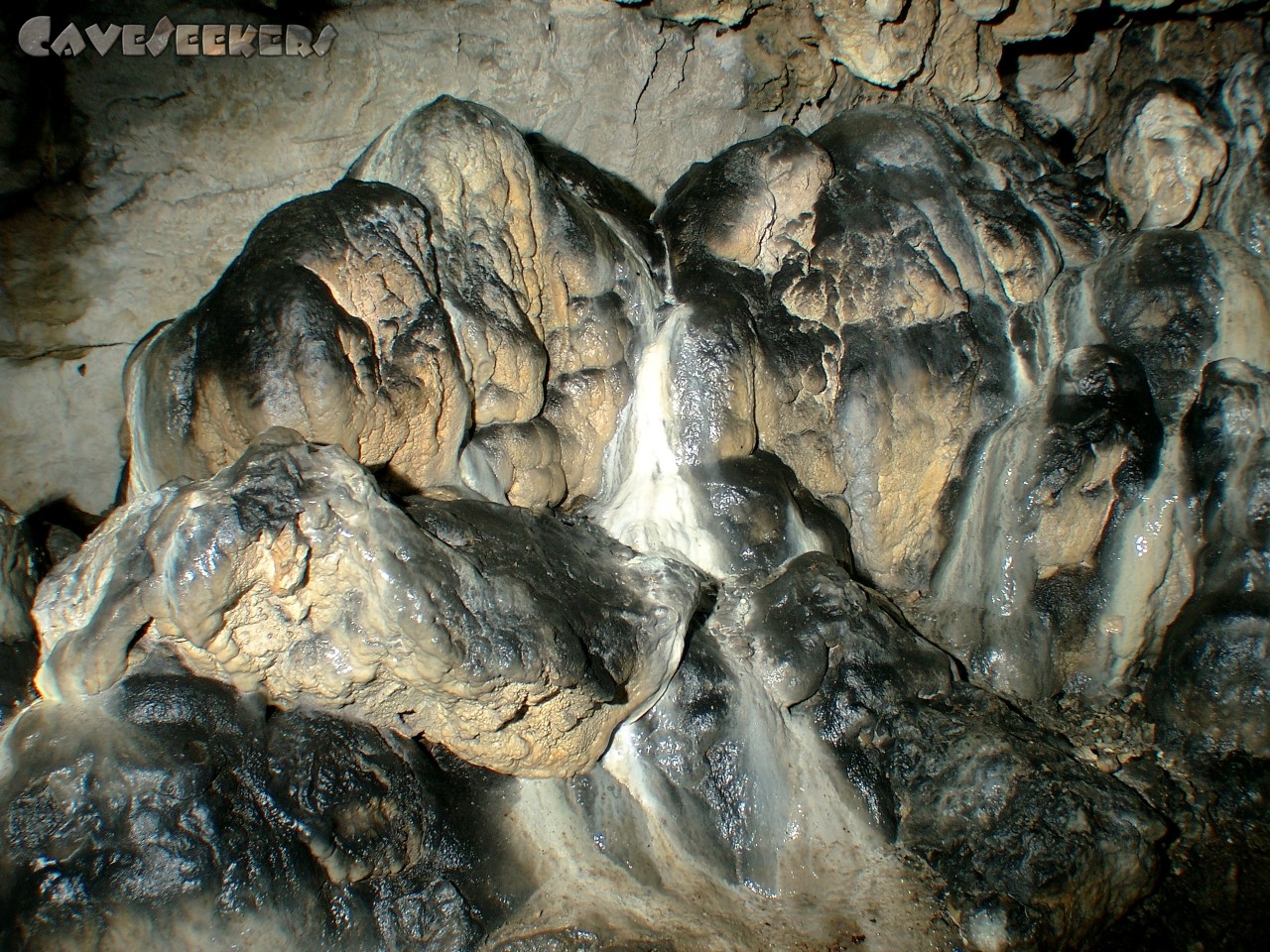 Bärenhöhle: In der grossen Halle.