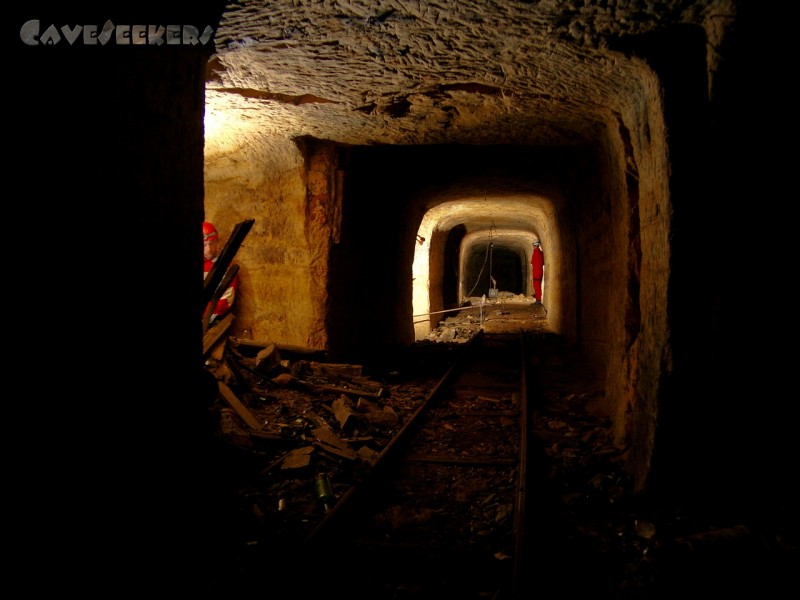 Bärenkeller: Herr Kunz ist beschäftigt.