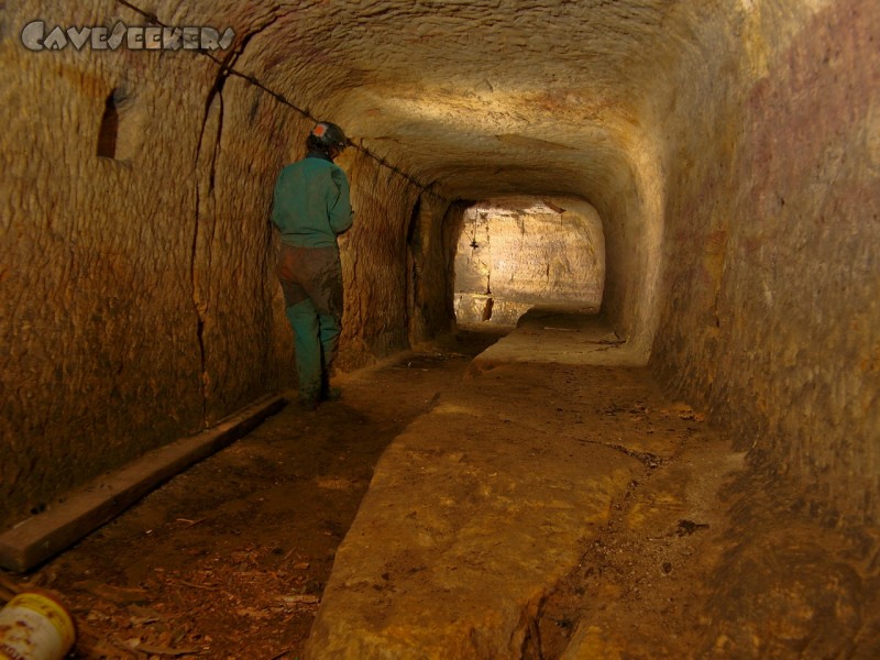 Bärenkeller: Glasklar: Bierkeller