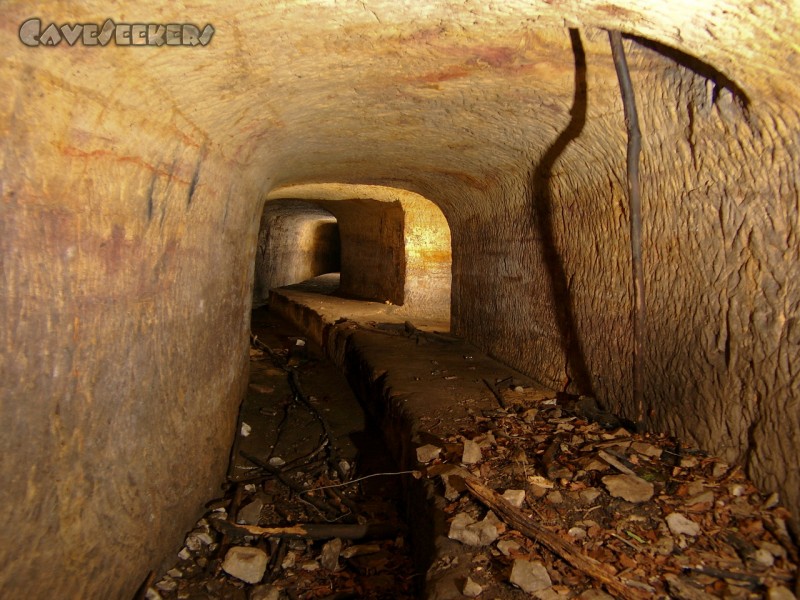 Bärenkeller: Was so alles in ein Loch fallen kann...