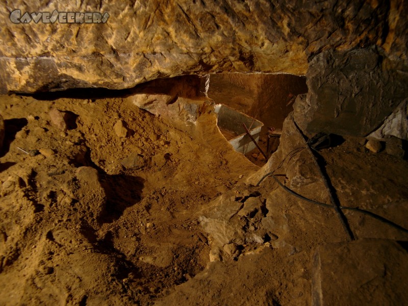 Bärenkeller: Buddelaktion auf dem Weg zum 2. Keller.