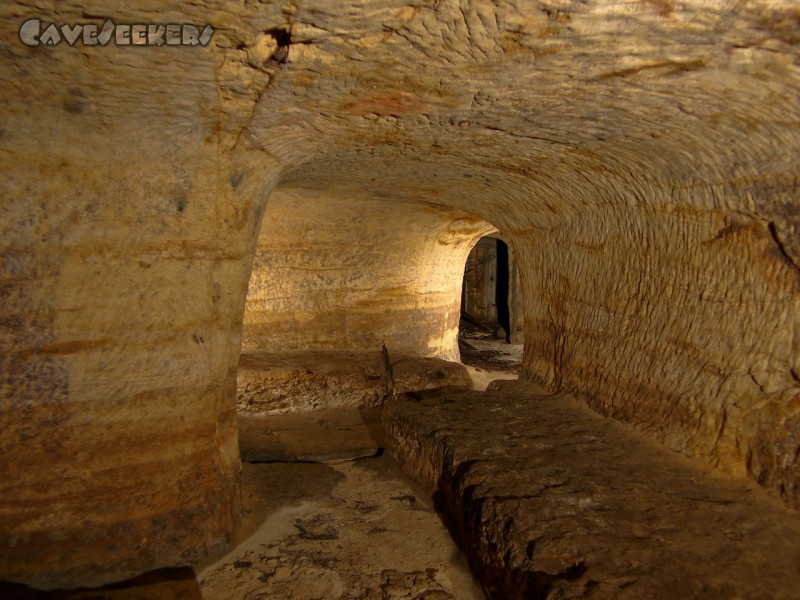 Bärenkeller: Weitverzweigtes