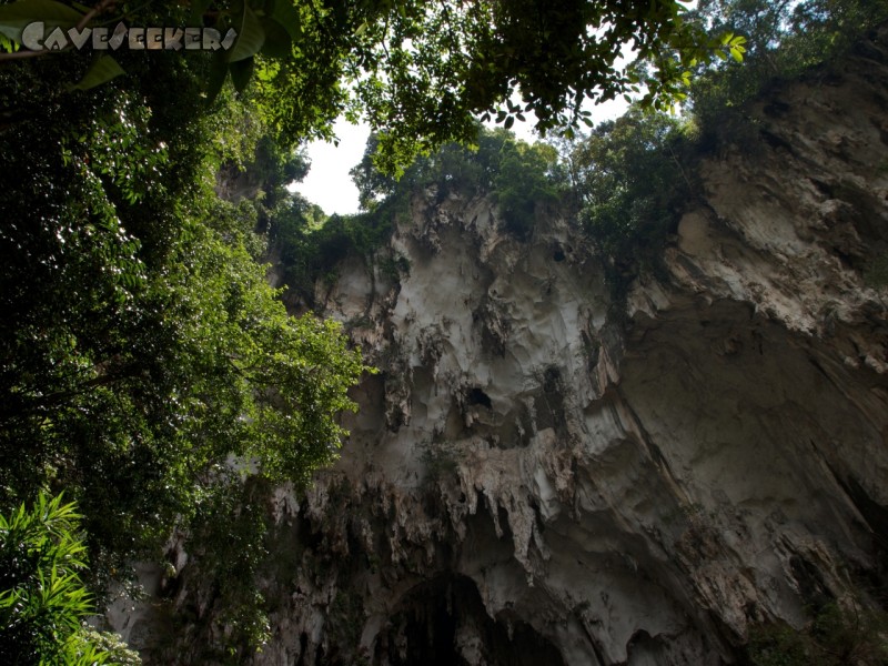 Batu Caves: Die Stufen zur Hälfte erklommen, den Blick streng nach oben gerichtet: So kann der Inderwahn für wenige Augenblicke vergessen werden. Das Auge erfasst sehr, sehr alten Sinter, welcher offenbar im Freien seinen Urstand feier konnte. Muss eine schöne Zeit gewesen sein. Seinerzeit.