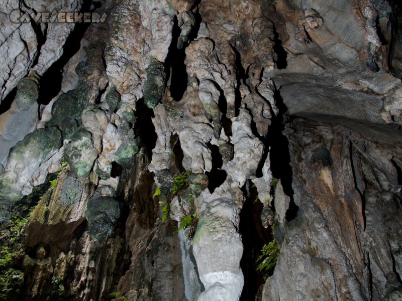 Batu Caves: Im 