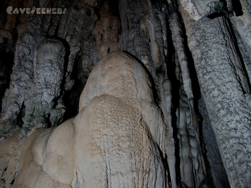 Batu Caves: Im 