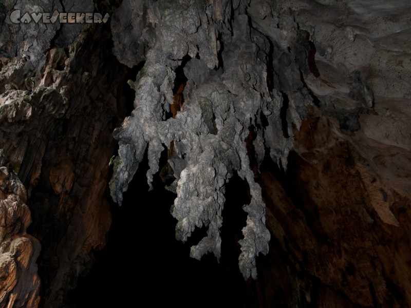 Batu Caves: An der Decke im 