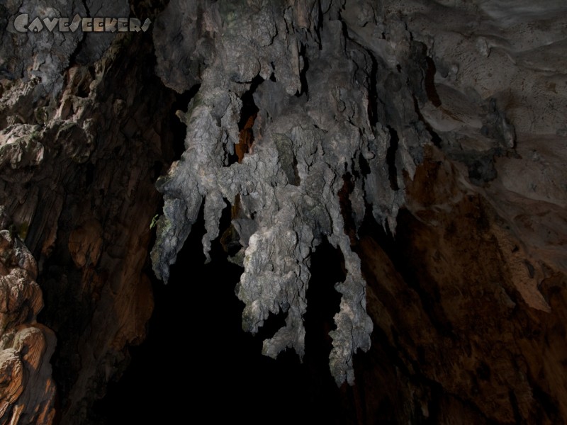 Batu Caves: An der Decke im 