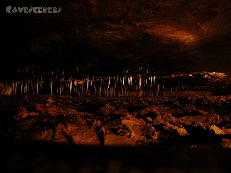 Bauernhöhle: Feierlich: Weiße Maccaronis in Rot.