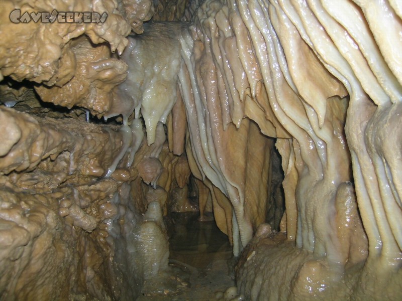 Bauernhöhle: Sinterfahnen mit Sinterbecken.