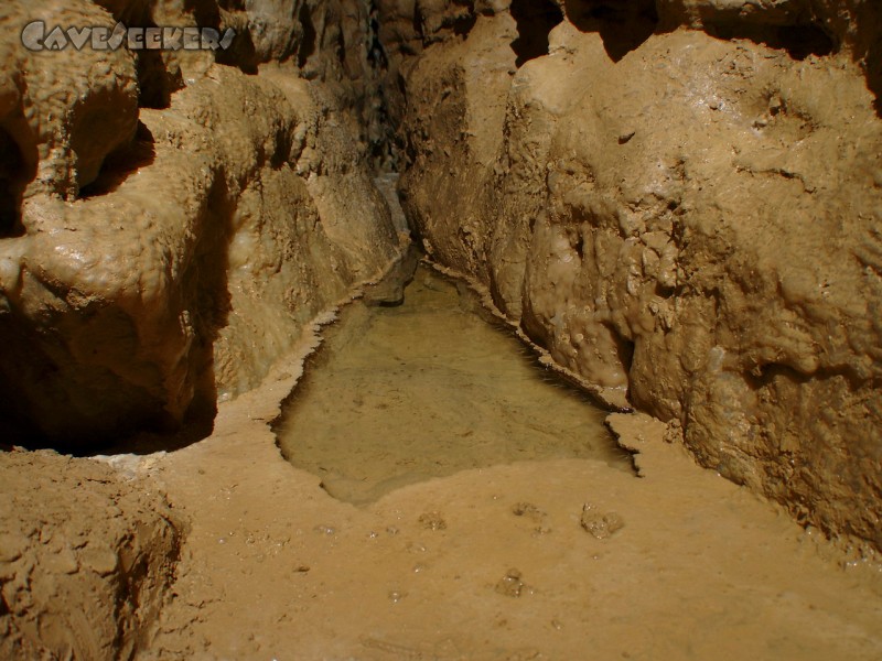 Bauernhöhle: Das Finale Sinterbecken.